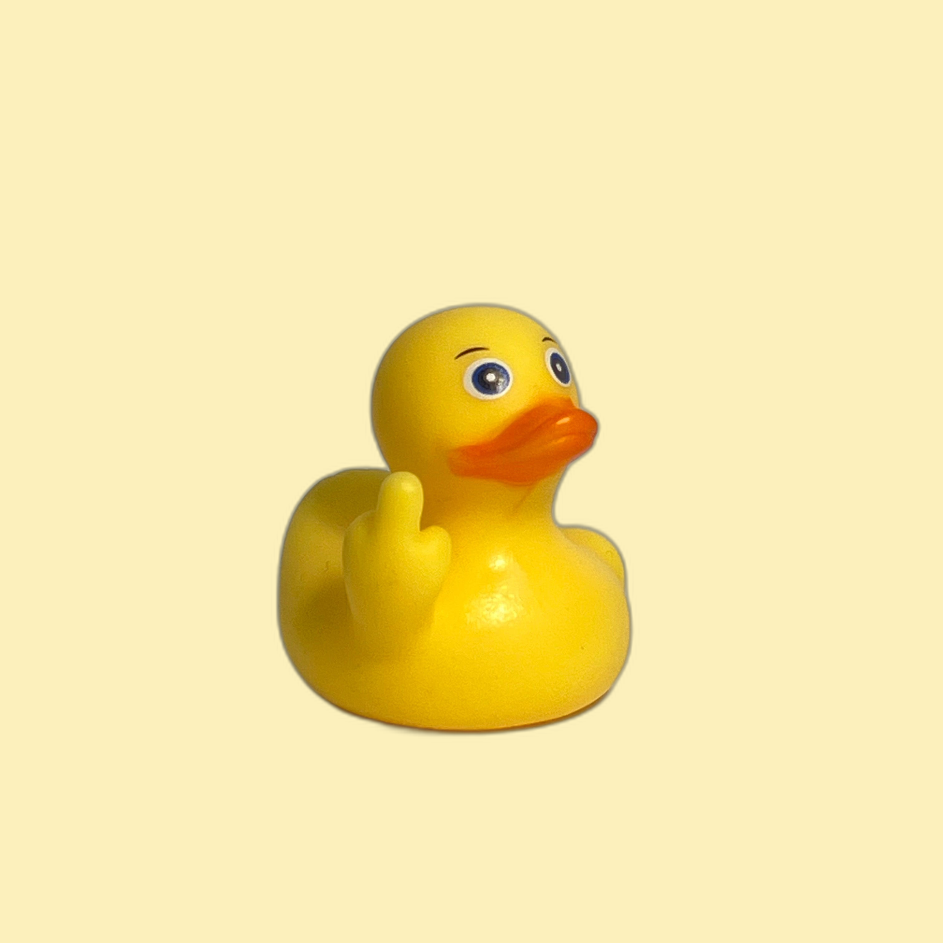 Middle Finger Duck