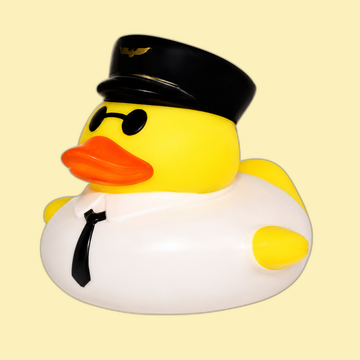 Pilot Duck