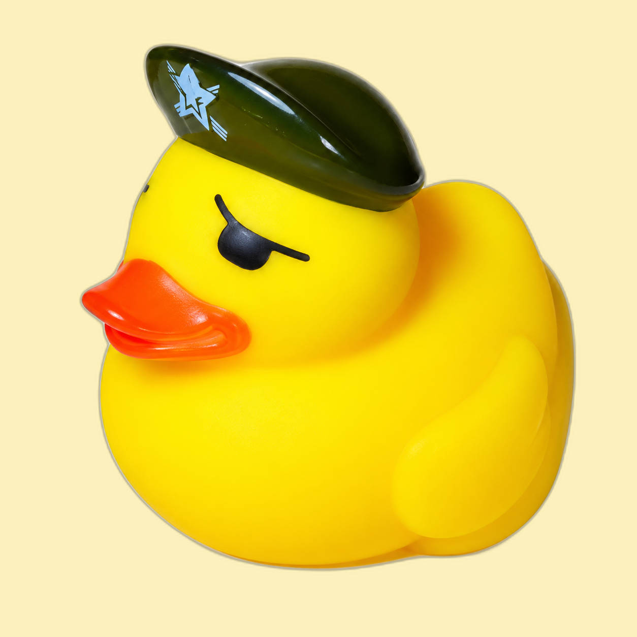 Pirate Duck